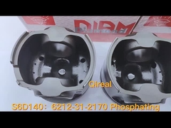 6212-31-2170 Φωσφορίωση